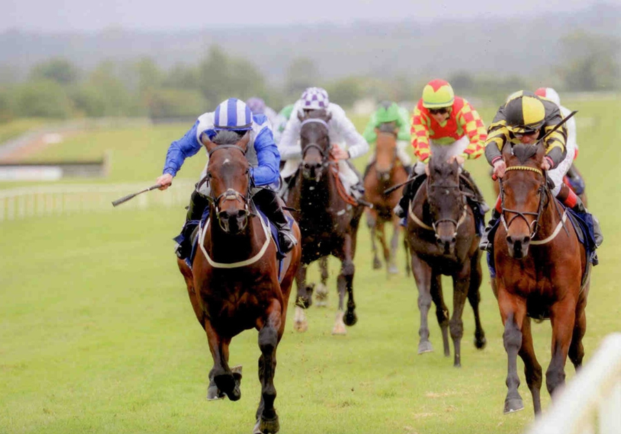 Dandyleekie Navan Sun 18th May 2014